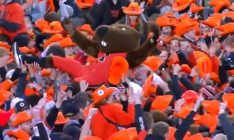 Oregon State’s mascot went for a wild crowdsurfing…