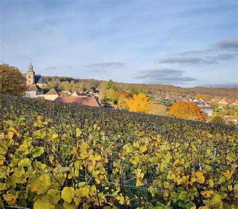 Champagne Tasting In Reims