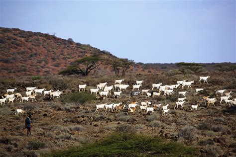 Marsabit National Park - Safari254