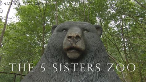 5 Sisters Zoo - YouTube