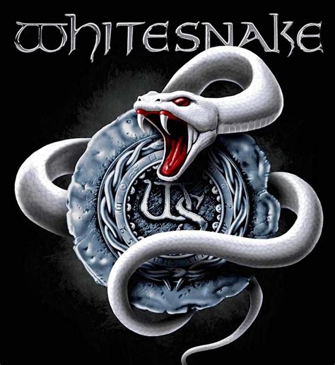 David Coverdale on Twitter | Metal band logos, Rock poster art, Rock album covers