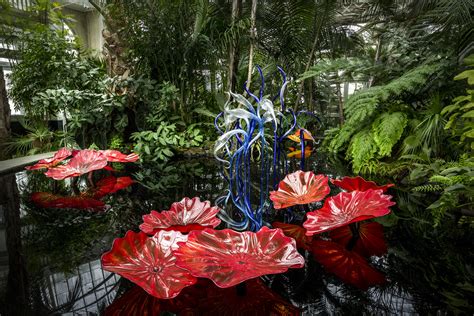 Chihuly at New York Botanical Garden | Chihuly