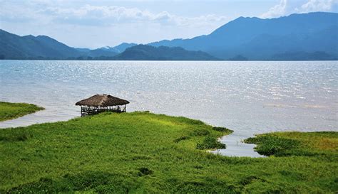 Empresa Regal Springs Honduras desmiente contaminación en El Lago de Yojoa