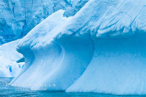 Antarctic icebergs, Cierva Cove, Antarctic Peninsula, Antarctica