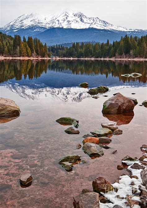 Mount Shasta Reflection - Lake Siskiyou in California with reflections. Photograph by Jamie Pham ...