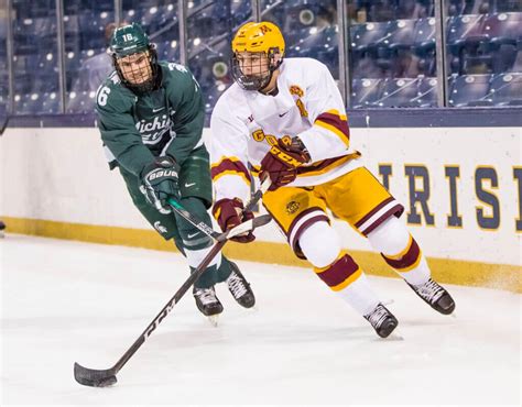 Brock Faber’s Minnesota dreams come true: ‘Wild and Gophers. … Those ...