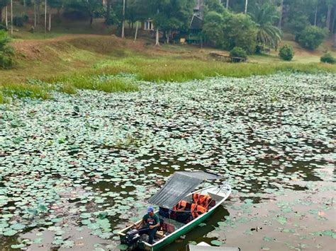 Snapshot: Tasik Chini Boat Ride - Happy Go KL