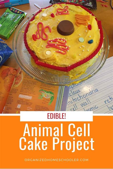 How to Make an Animal Cell Cake in 10 Steps ~ The Organized Homeschooler