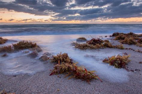 Sunrise Over Atlantic Ocean in Florida. Stock Photo - Image of coastal, sunrise: 46398052