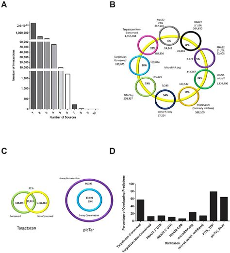 MicroRNA prediction database characteristics. Panel A: Distribution of... | Download Scientific ...