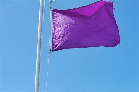 What does purple flag at the beach mean? Is it closed under a purple ...