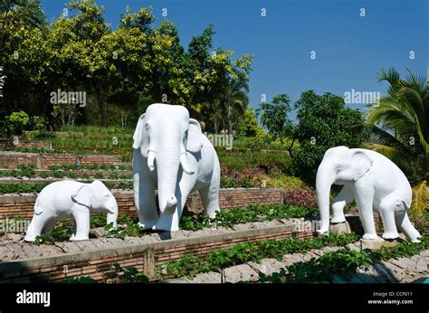 Three life-size white elephant statues in Royal Flora Expo in Chiang Mai Thailand Stock Photo ...