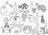 Printable Sea Animals Coloring Pages sketch template