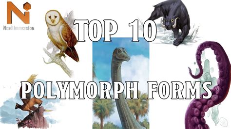 Top 10 D&D 5e Polymorph Forms | Nerd Immersion - YouTube