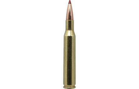 Ammo Brief: .270 Winchester - Gun And Survival