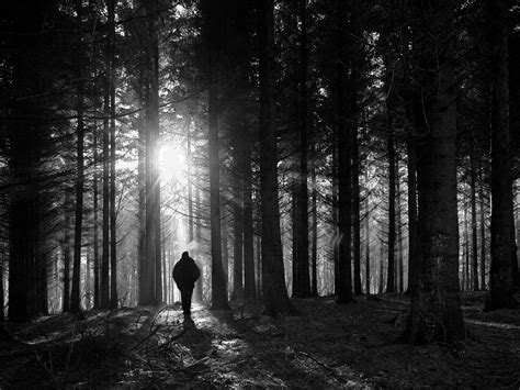 man walks alone in dark woods | Normal Paranormal