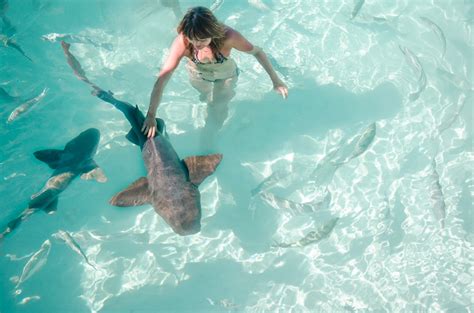 swimming with sharks exumas - Sea of Blush