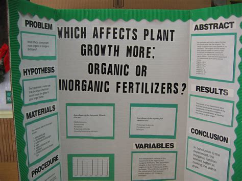 Which Affects Plant Growth More; Organic or Inorganic Fertilizers