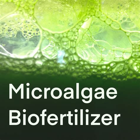 Microalgae Biofertilizer for 10 plants | GardenEazy