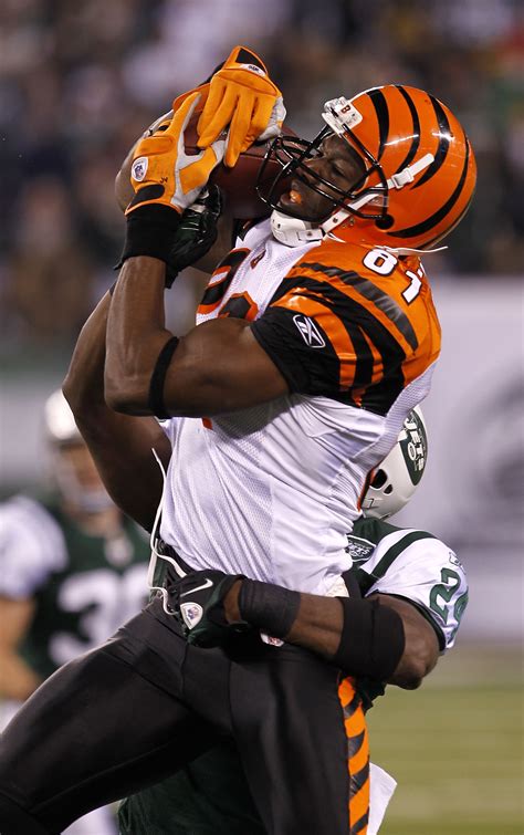 Terrell Owens, Chad Ochocinco and Other Cincinnati Bengals Topics | News, Scores, Highlights ...