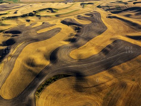 palouse stock photos - OFFSET