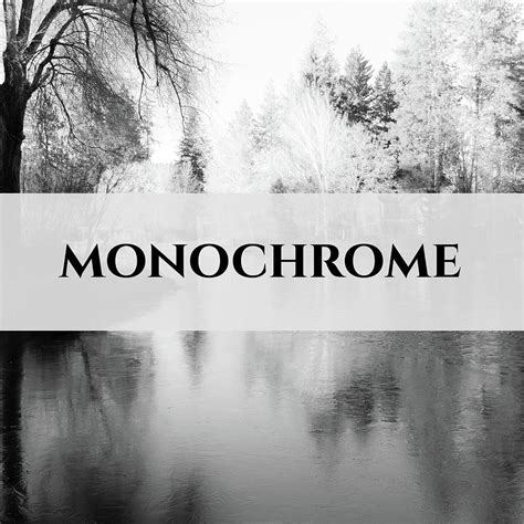 Monochrome Logo Photograph by Jason McPheeters - Fine Art America