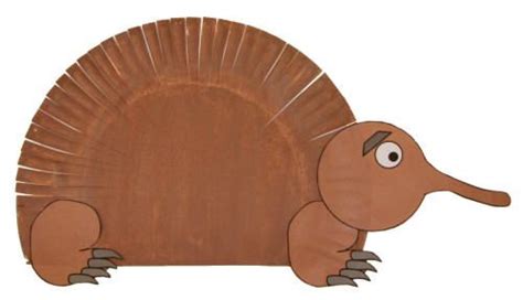 Paper Plate Echidna Craft | Animal crafts, Animal crafts for kids, Paper plate animals