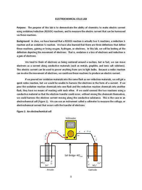 Electrochemical Cell Lab | PDF | Redox | Electrochemistry