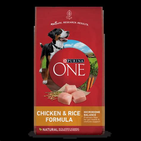 Purina ONE Dry Dog Food | Purina US