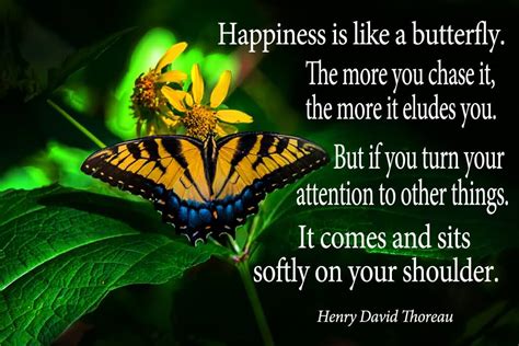 Happiness is like a butterfly… – African Celebs