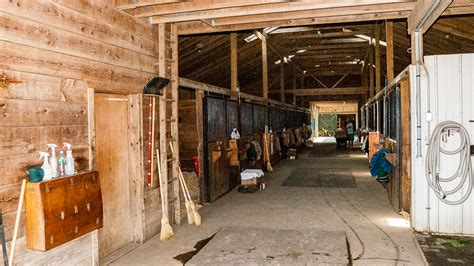 Barn Interiors – The Horse's Advocate