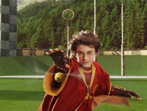 The golden snitch | Harry potter puns, Harry james potter, Harry potter movies