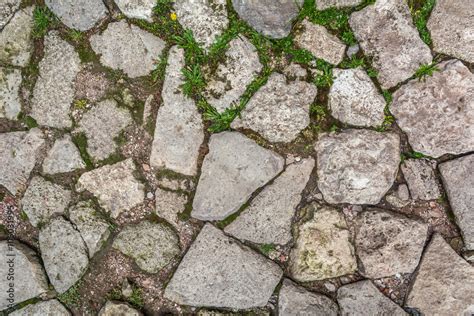 cobblestone with grass texture , stone path with grass texture ...