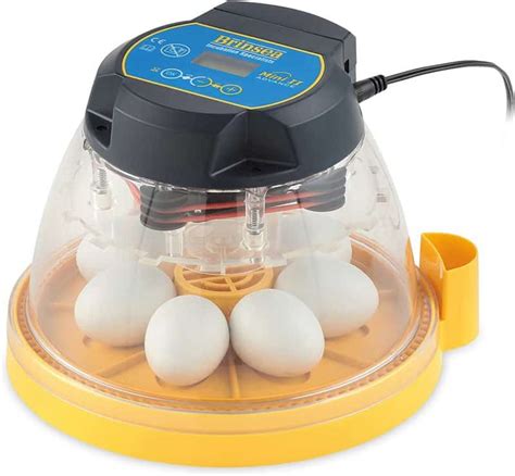 5 Best Egg Incubator for Chicken Eggs with Automatic & Manual Turner