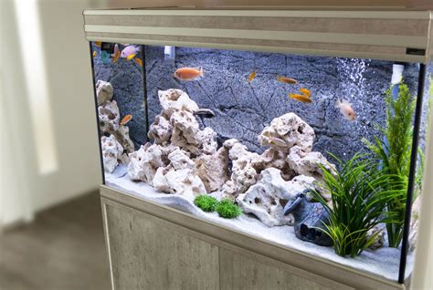 How to Stock an Aquarium With Different Levels of Fish