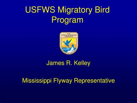 PPT - USFWS Migratory Bird Program PowerPoint Presentation, free ...