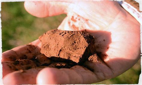 How To Fix Clay or Sandy Soils | SHTFPreparedness