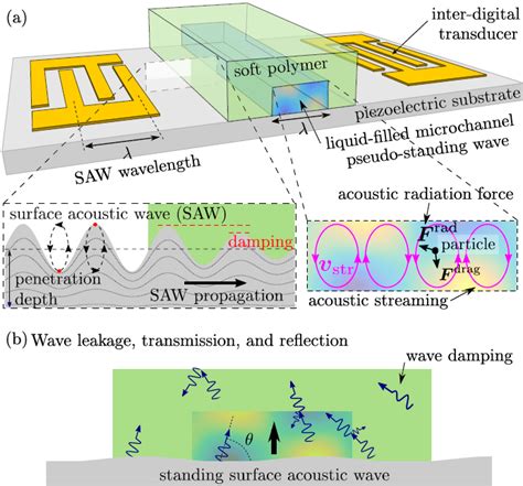 Surface Acoustic Wave Microfluidics - NITESH NAMA