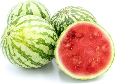 Sugar Baby Watermelon Information and Facts