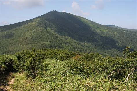 Hokkaido Deciduous Forests | One Earth