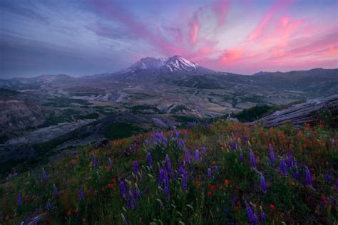 Top Ten Tips For Successful Wildflower Photography - Photo Cascadia