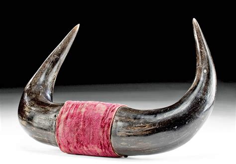 Antique American Buffalo Horns sold at auction on 22nd April | Bidsquare