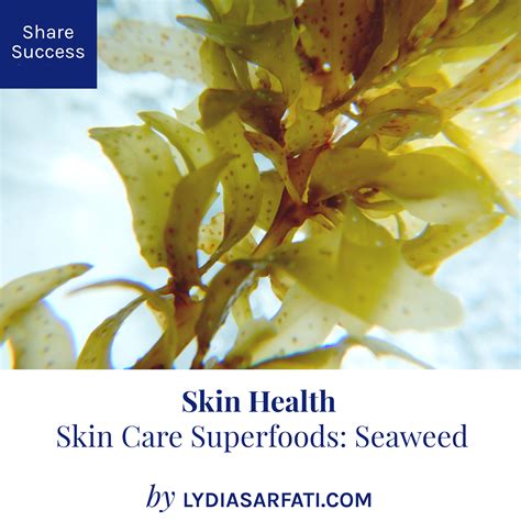 Skin Care Superfoods: Seaweed | Skin Health