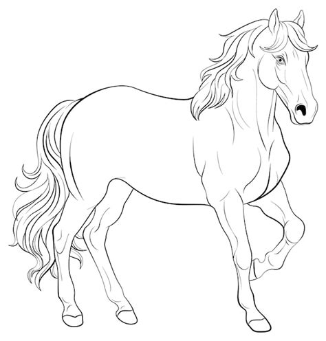 Horse Drawing Images - Free Download on Freepik