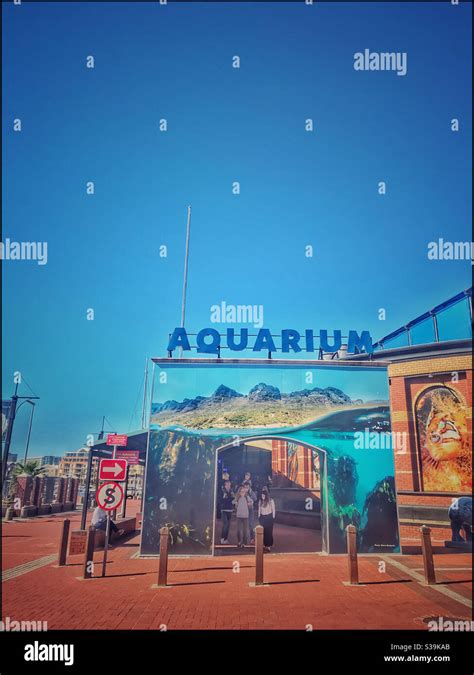 Aquarium, V&A Waterfront, Cape Town, South Africa Stock Photo - Alamy