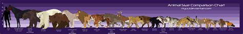 Animal Size Comparison Chart by Myuui on DeviantArt