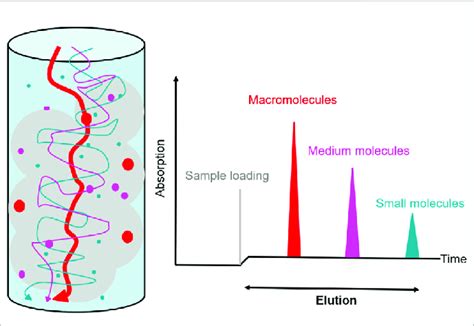 Gel Filtration Chromatography: Unveiling the Science Behind Separation