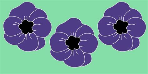 People are wearing purple poppies for this forgotten cause | Purple poppies, Remembrance day ...