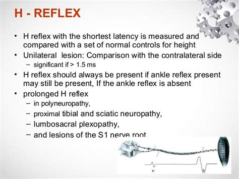 Nerves conduction study