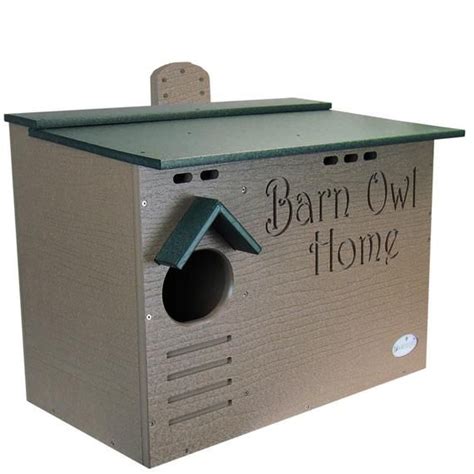 Barn Owl Poly Nest Box Large House | Owl house, Barn owl, Owl nesting
